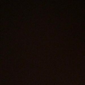 Meet your Posher, Paige